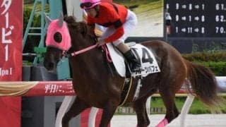6月28日は「パフェの日」 競馬界にもいた「パフェ」の名を持つかわいい馬たち