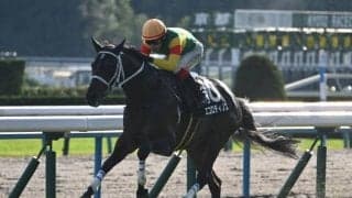 【函館記念予想】サマー2000シリーズ開幕戦 コーナー回る器用さ求められる函館2000m