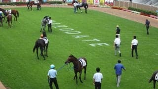 【函館5R新馬戦結果】米国産馬シグレが6馬身差圧勝 トワーリングキャンディ産駒