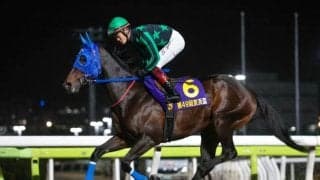 【大井・優駿スプリント枠順】兵庫CSで3着好走のゼーロスは5枠9番