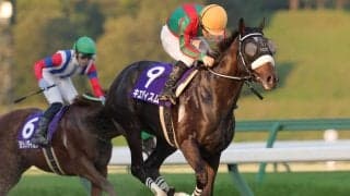 【盛岡・ハヤテスプリント】エイシンリガーズが園田勢初V狙う…遠征馬優勢の一戦、地元勢はジェイエルビットに期待