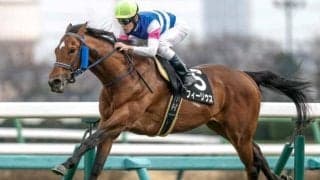 【函館記念・馬体重】フィーリウスは512kg(±0)、イガッチは484kg(+6)