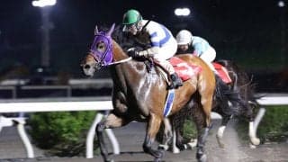 【高知・菖蒲洞特別】強い！　また勝った！！　ダオラダオラが破竹７連勝　赤岡修次騎手「しっかり我慢して走ってくれました」