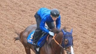 【帝王賞】前年王者のミッキーファイト、いまだ馬券圏外なしも田中博調教師「競馬の形を変えていく必要がある」