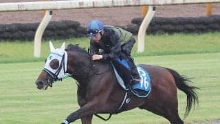【北九州記念・水納の特注馬】力つけたアンクルクロスが楽しみ　鞍馬Ｓは自身も従来のレコード更新だった２着