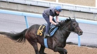 【白河特別・西山の特注馬】良血ベストミーエヴァーは転厩初戦から勝ち負け期待