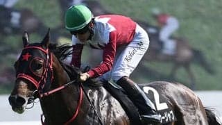 【北九州記念想定騎手】フリッカージャブは松山弘平騎手、ヤマニンアルリフラは団野大成騎手