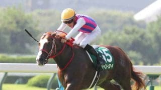 【北九州記念】０６年から小倉の芝１２００メートルでハンデ戦に　過去に制した５頭が夏の短距離王者に輝く
