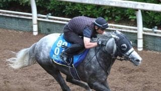【北九州記念】連覇がかかるヤマニンアルリフラは好気配　斉藤崇調教師「休み明けですが具合はよさそう」