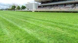 函館競馬場「洋芝」の謎を三戸達也記者が歩いて探った！　昨年のレコード連発は自然現象に大きな原因があった
