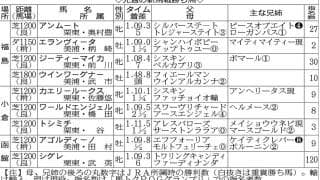 【ＰＯＧ】タイレコードで７馬身差圧勝のジーティーマイカはさまざまな可能性秘めたシスキン産駒