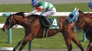 【大沼S】25年ユニコーンS覇者のカナルビーグル 約1年1カ月ぶりの復帰戦だ