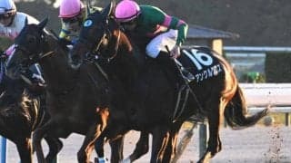 【北九州記念予想】AIはアンクルクロスを指名 馬体重や前走距離が後押し