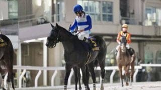 【帝王賞レース後談話】横山和生「この経験を糧に」2番人気ロードクロンヌは6着