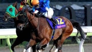 JBCレディスクラシック覇者の初仔 クロダテがデビュー勝ちなるか