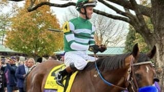 セレクト2.1億円のフライトライン産駒 ショウナンガレオンがデビュー勝ち狙う