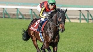 【七夕賞想定馬・騎手】カラマティアノス、ヤマニンブークリエなど20頭