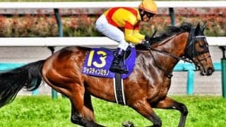 「ウマ娘」藤田晋オーナーの2.9億円馬 ジャンゴッドがデビュー勝ち狙う