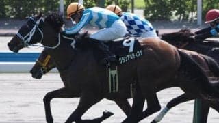 博多Sは波乱傾向か 4歳馬の活躍に注目だ