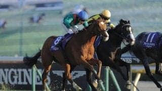 【仏サンクルー大賞】世界最強馬カランダガンが連覇へ！「本来の姿を見せてくれるはず」陣営は巻き返しに自信
