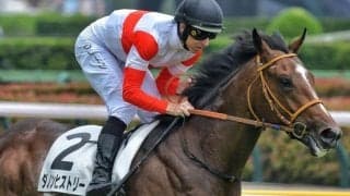 セレクト3.9億円のダノンヒストリー 復帰戦で勝利なるか