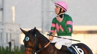 【北九州記念予想】父ミスプロ系やナスルーラ系が高期待値！ 父ノーザンダンサー系の馬は前走の着順や上がり順位に注意