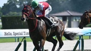 【北九州記念前日オッズ】フリッカージャブが3.5倍で1番人気