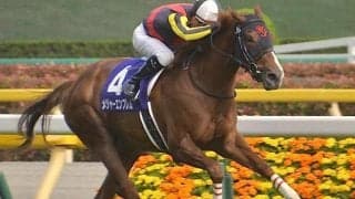 母はGI・2勝のメジャーエンブレム セレクト1億円超えのスターバーナーがデビュー勝ちなるか