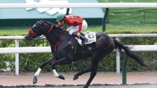 【小倉8R】断然人気ブルーマッキンジーが2勝目…単勝1.6倍の支持に応える