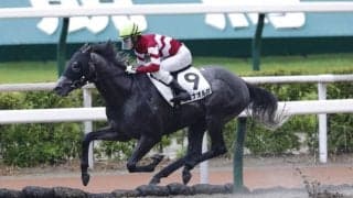 【小倉6R】ピエナオルカが8馬身差圧勝！断然の強さで逃げ切る