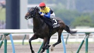 【博多S】リスグラシューの半弟・ネブラディスクがオープン入り