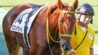 前走圧勝のアスコットヴェール 坂井瑠星騎手で連勝なるか