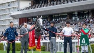 【川崎・スパーキングレディーC枠順】牝馬のダートマイル重賞 昨年の函館スプリントS覇者カピリナは8枠10番