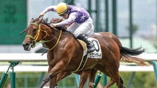 【福島6R新馬戦結果】シスキン産駒ピクニックマーチが接戦を制す
