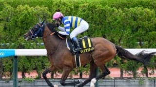 【大沼S結果】4番人気ワイドブリザードが4馬身差で快勝