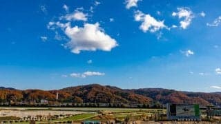 【新馬/福島5R】レイデオロ産駒エスクアドラが鮮やかデビューV…長くいい脚で差し切る