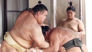 高安、名古屋場所は初の幕内最年長「勝負師ですから。若い人には負けられません」…１２日初日