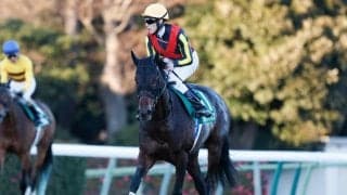 福島で伝統のハンデ重賞・七夕賞/今週の競馬界の見どころ