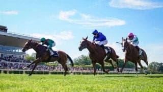 【仏サンクルー大賞】カランダガンが連覇、史上初のセン馬2勝目…次走はキングジョージ視野