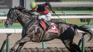 【七夕賞】15年ぶりの牝馬Vなるか 紫苑S覇者のクリスマスパレードが重賞2勝目狙う