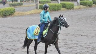 オジュウチョウサン産駒のタクミオジュウ、良血牝馬リサナウトなどが初陣/関東馬メイクデビュー情報
