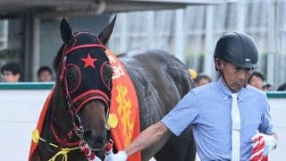 母方から受け継いだスプリント能力 フリッカージャブの血統背景をひも解く