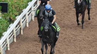 クロノジェネシスの2024(ノイエルング)など、先週の入厩情報/栗東トレセンニュース