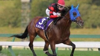 【盛岡・岩鷲賞結果】ルコルセールが重賞4連勝を飾る