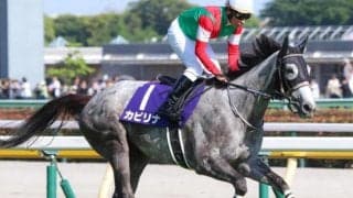 【川崎・スパーキングレディーC】マイルの牝馬ダートグレード競走 ホクトベガの背中を追う女王候補が集結 