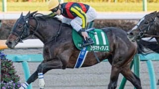七夕賞はキングマンボ系を狙え 今年の該当馬は？
