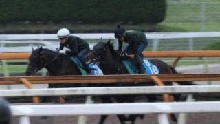 ジーティーアダマンなど、小倉記念1週前追い切り速報/栗東トレセンニュース