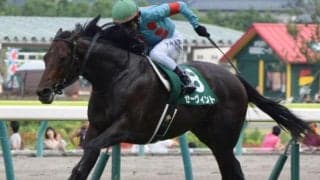 七夕賞の気になるデータ 今年1番人気になる馬は