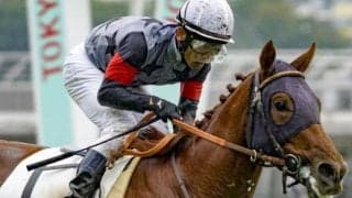 【五稜郭S】25年凱旋門賞参戦のアロヒアリイ 約1年3カ月ぶりの国内戦だ