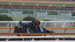 ムルソー、マーキュリーC1週前追い切り速報/栗東トレセンニュース